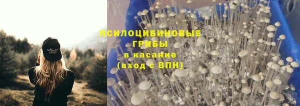 меф Осташков