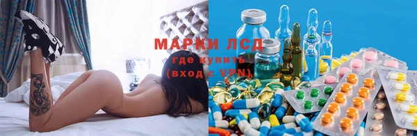 шишки Нязепетровск