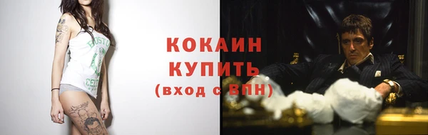 шишки Нязепетровск