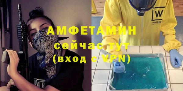 шишки Нязепетровск