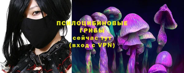 шишки Нязепетровск