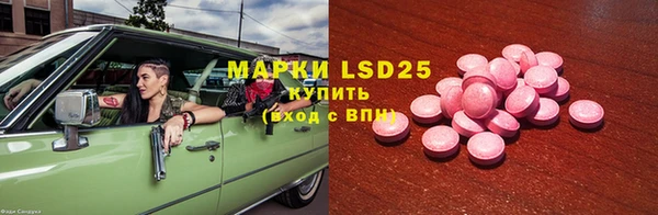 шишки Нязепетровск
