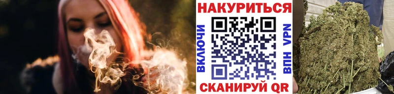 Каннабис сатива мега онион Шлиссельбург купить закладку